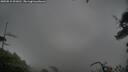 ./images/calvert/fitz-hugh-hecate/20250815/fitz-hugh-hecate20250815_091010M.jpg