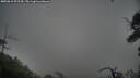 ./images/calvert/fitz-hugh-hecate/20250815/fitz-hugh-hecate20250815_092509M.jpg