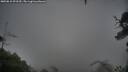 ./images/calvert/fitz-hugh-hecate/20250815/fitz-hugh-hecate20250815_093510M.jpg
