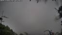 ./images/calvert/fitz-hugh-hecate/20250815/fitz-hugh-hecate20250815_100510M.jpg