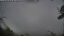 ./images/calvert/fitz-hugh-hecate/20250815/fitz-hugh-hecate20250815_101511M.jpg