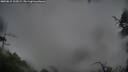 ./images/calvert/fitz-hugh-hecate/20250815/fitz-hugh-hecate20250815_102009M.jpg