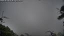 ./images/calvert/fitz-hugh-hecate/20250815/fitz-hugh-hecate20250815_102509M.jpg