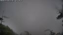 ./images/calvert/fitz-hugh-hecate/20250815/fitz-hugh-hecate20250815_103509M.jpg