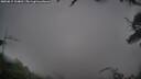 ./images/calvert/fitz-hugh-hecate/20250815/fitz-hugh-hecate20250815_104010M.jpg