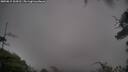 ./images/calvert/fitz-hugh-hecate/20250815/fitz-hugh-hecate20250815_104511M.jpg