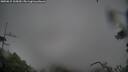 ./images/calvert/fitz-hugh-hecate/20250815/fitz-hugh-hecate20250815_105010M.jpg