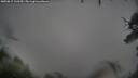 ./images/calvert/fitz-hugh-hecate/20250815/fitz-hugh-hecate20250815_110510M.jpg