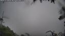 ./images/calvert/fitz-hugh-hecate/20250815/fitz-hugh-hecate20250815_112007M.jpg