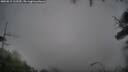 ./images/calvert/fitz-hugh-hecate/20250815/fitz-hugh-hecate20250815_113509M.jpg