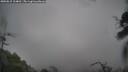 ./images/calvert/fitz-hugh-hecate/20250815/fitz-hugh-hecate20250815_114010M.jpg