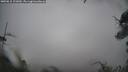 ./images/calvert/fitz-hugh-hecate/20250815/fitz-hugh-hecate20250815_121009M.jpg