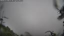 ./images/calvert/fitz-hugh-hecate/20250815/fitz-hugh-hecate20250815_123008M.jpg