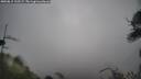 ./images/calvert/fitz-hugh-hecate/20250815/fitz-hugh-hecate20250815_123506M.jpg