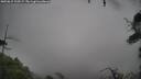 ./images/calvert/fitz-hugh-hecate/20250815/fitz-hugh-hecate20250815_125509M.jpg