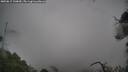 ./images/calvert/fitz-hugh-hecate/20250815/fitz-hugh-hecate20250815_130010M.jpg