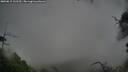 ./images/calvert/fitz-hugh-hecate/20250815/fitz-hugh-hecate20250815_131510M.jpg