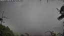 ./images/calvert/fitz-hugh-hecate/20250815/fitz-hugh-hecate20250815_134509M.jpg