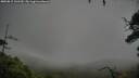./images/calvert/fitz-hugh-hecate/20250815/fitz-hugh-hecate20250815_141510M.jpg