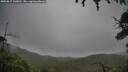 ./images/calvert/fitz-hugh-hecate/20250815/fitz-hugh-hecate20250815_143010M.jpg