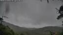 ./images/calvert/fitz-hugh-hecate/20250815/fitz-hugh-hecate20250815_143509M.jpg