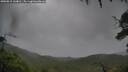 ./images/calvert/fitz-hugh-hecate/20250815/fitz-hugh-hecate20250815_144010M.jpg