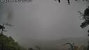 ./images/calvert/fitz-hugh-hecate/20250815/fitz-hugh-hecate20250815_144510M.jpg