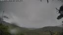 ./images/calvert/fitz-hugh-hecate/20250815/fitz-hugh-hecate20250815_145509M.jpg