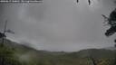 ./images/calvert/fitz-hugh-hecate/20250815/fitz-hugh-hecate20250815_150011M.jpg
