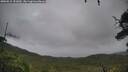 ./images/calvert/fitz-hugh-hecate/20250815/fitz-hugh-hecate20250815_151009M.jpg