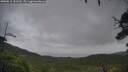 ./images/calvert/fitz-hugh-hecate/20250815/fitz-hugh-hecate20250815_151509M.jpg