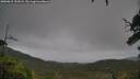 ./images/calvert/fitz-hugh-hecate/20250815/fitz-hugh-hecate20250815_152008M.jpg