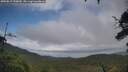 ./images/calvert/fitz-hugh-hecate/20250815/fitz-hugh-hecate20250815_155010M.jpg
