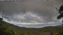 ./images/calvert/fitz-hugh-hecate/20250815/fitz-hugh-hecate20250815_162507M.jpg