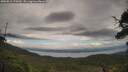 ./images/calvert/fitz-hugh-hecate/20250815/fitz-hugh-hecate20250815_172009M.jpg