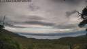 ./images/calvert/fitz-hugh-hecate/20250815/fitz-hugh-hecate20250815_173010M.jpg