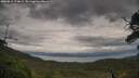 ./images/calvert/fitz-hugh-hecate/20250815/fitz-hugh-hecate20250815_174009M.jpg