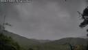 ./images/calvert/fitz-hugh-hecate/20250815/fitz-hugh-hecate20250815_184010M.jpg
