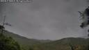 ./images/calvert/fitz-hugh-hecate/20250815/fitz-hugh-hecate20250815_185008M.jpg