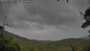 ./images/calvert/fitz-hugh-hecate/20250815/fitz-hugh-hecate20250815_191007M.jpg
