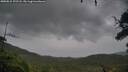 ./images/calvert/fitz-hugh-hecate/20250815/fitz-hugh-hecate20250815_192508M.jpg