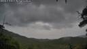 ./images/calvert/fitz-hugh-hecate/20250815/fitz-hugh-hecate20250815_193009M.jpg