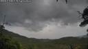 ./images/calvert/fitz-hugh-hecate/20250815/fitz-hugh-hecate20250815_194009M.jpg