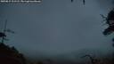 ./images/calvert/fitz-hugh-hecate/20250815/fitz-hugh-hecate20250815_211508M.jpg