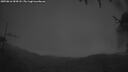 ./images/calvert/fitz-hugh-hecate/20250816/fitz-hugh-hecate20250816_054508M.jpg