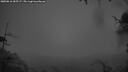 ./images/calvert/fitz-hugh-hecate/20250816/fitz-hugh-hecate20250816_055507M.jpg