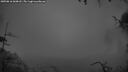 ./images/calvert/fitz-hugh-hecate/20250816/fitz-hugh-hecate20250816_060008M.jpg