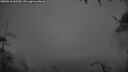 ./images/calvert/fitz-hugh-hecate/20250816/fitz-hugh-hecate20250816_060510M.jpg