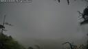 ./images/calvert/fitz-hugh-hecate/20250816/fitz-hugh-hecate20250816_063010M.jpg