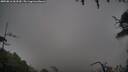 ./images/calvert/fitz-hugh-hecate/20250816/fitz-hugh-hecate20250816_063509M.jpg